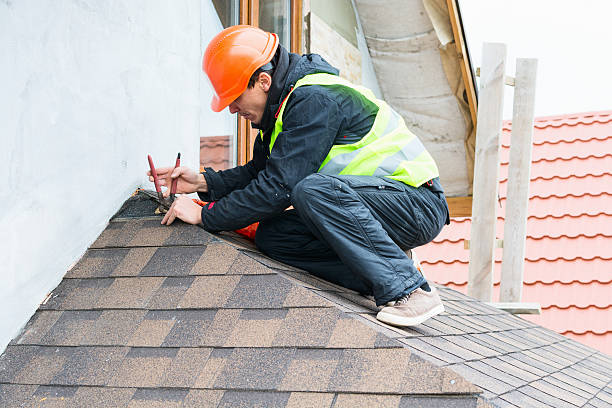Best Roof Gutter Cleaning  in Davidson, NC